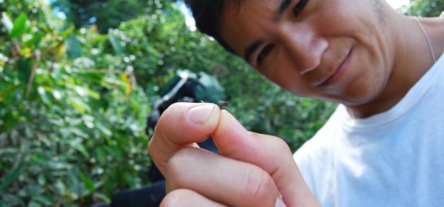 NASA: Developing an Early Warning System for Malaria Risk in the Amazon